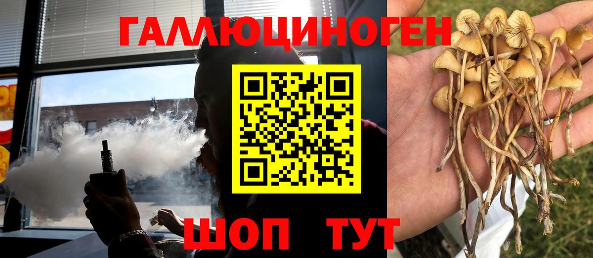 Майкоп  Галлюциногенные грибы Cubensis  Вход с VPN 